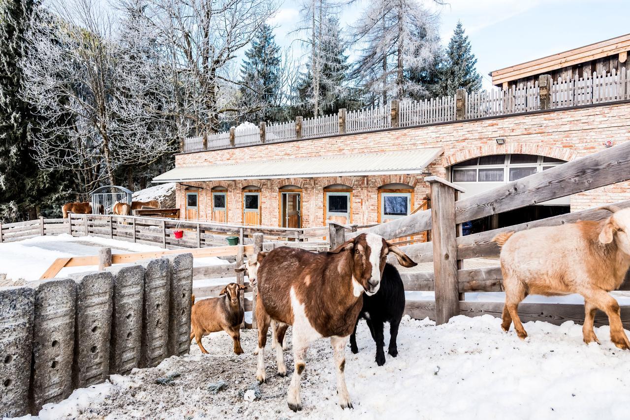 安特奥恩Peakini Farmhaus别墅 外观 照片